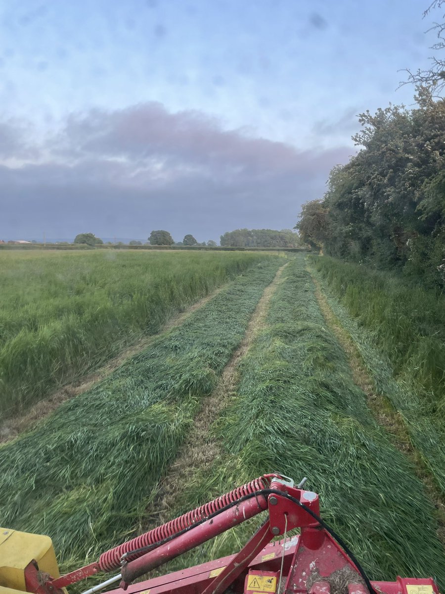 SammyersAg's tweet photo. Anybody else constantly looking back on photos reminiscing of dryer times due to the current state of the weather or just me? https://t.co/YkGjQDuZHR