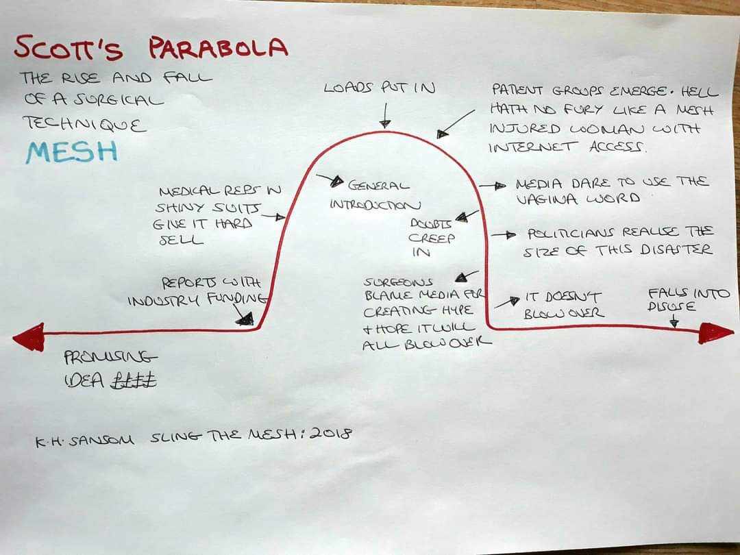 @RuthMacLeod20 My mesh Scott’s Parabola!