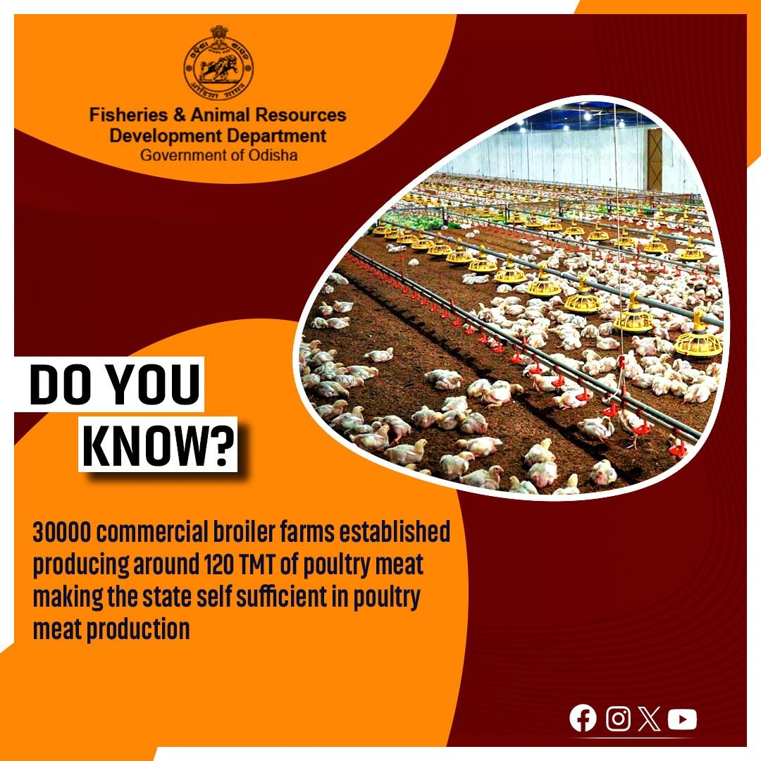 Achieving self-sufficiency in poultry meat with more than 30,000 Broiler poultry farms is just the beginning. Here's to continued growth in ARD sector!

<a href="/dahvsodisha/">Directorate of AH&VS Odisha</a> <a href="/olrdsahd/">Odisha Livestock Resources Development Society</a> <a href="/sureshvashishth/">Suresh Kr. Vashishth</a>