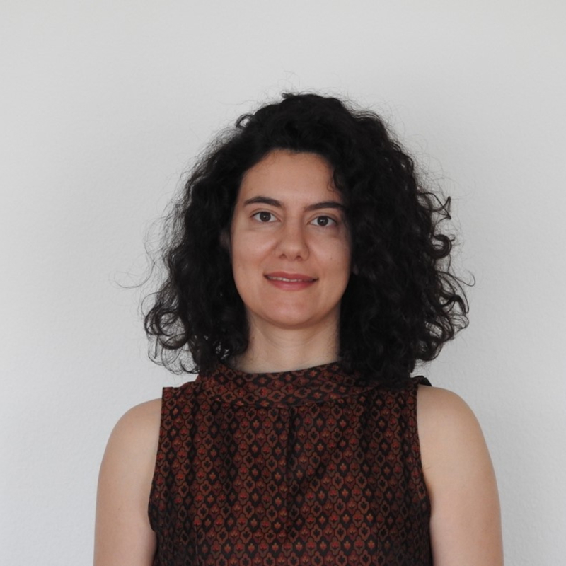 #ProcB welcomes new Associate Editor @DanPapageorgiou! In this blog post, we find out more about her background, current research and motivation behind joining the journal’s editorial board: ow.ly/tAWH50R92V2