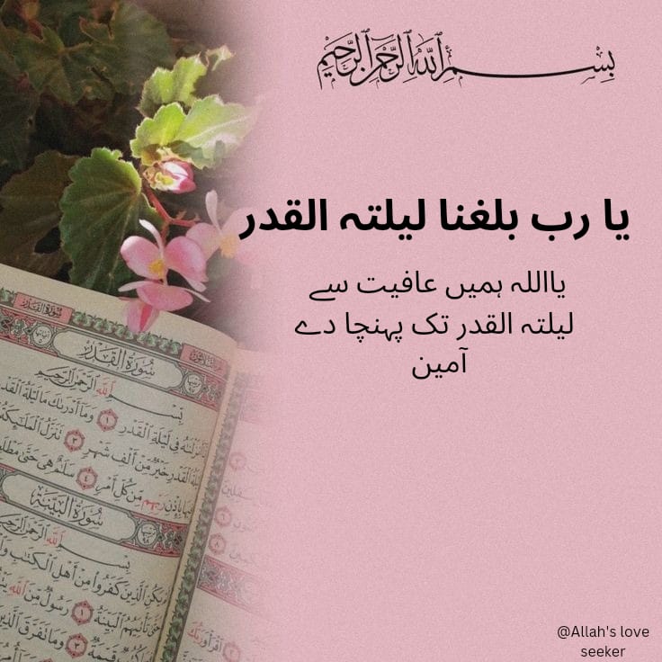 MLalbadshah's tweet photo. *من حرمھا فقد حرم الخیر کلہ ولا یحرم خیرھا الا کل محروم* 
یعنی جو شخص شب قدر سے محروم ہوگیا گویا پوری بھلائی سے محروم ہوگیا اور شب قدر کی خیر سے وہی محروم ہوتا ہے جو کامل محروم ہو۔ (ابن ماجہ)
#رمضان21_دعاء_العشر_الاواخر 
#رمضان https://t.co/Rmv8xQxZpW