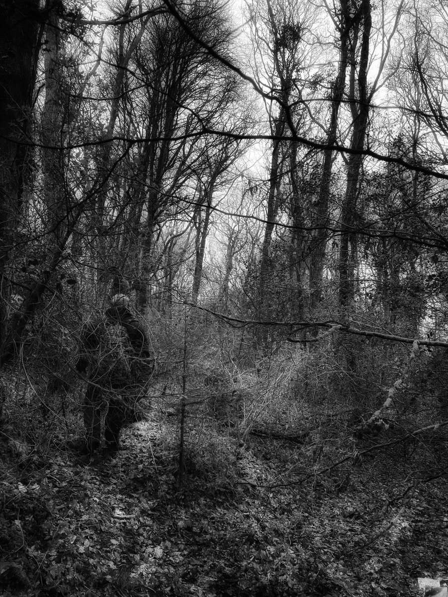a_socialworld's tweet photo. Yesterday. Got the wrong field, went to see some old ruins, and ended up off track in the woods again. New blog post and new shots of some old haunts.

🔗 https://t.co/IhxILvkVuT https://t.co/RQBaCJRWGw