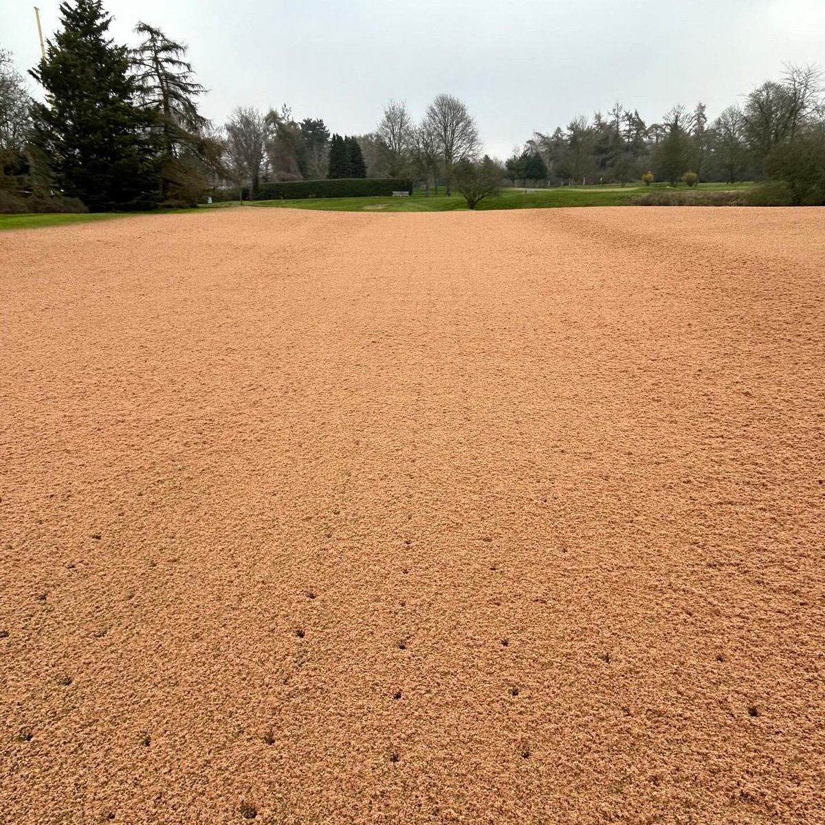 gregevans tweet media