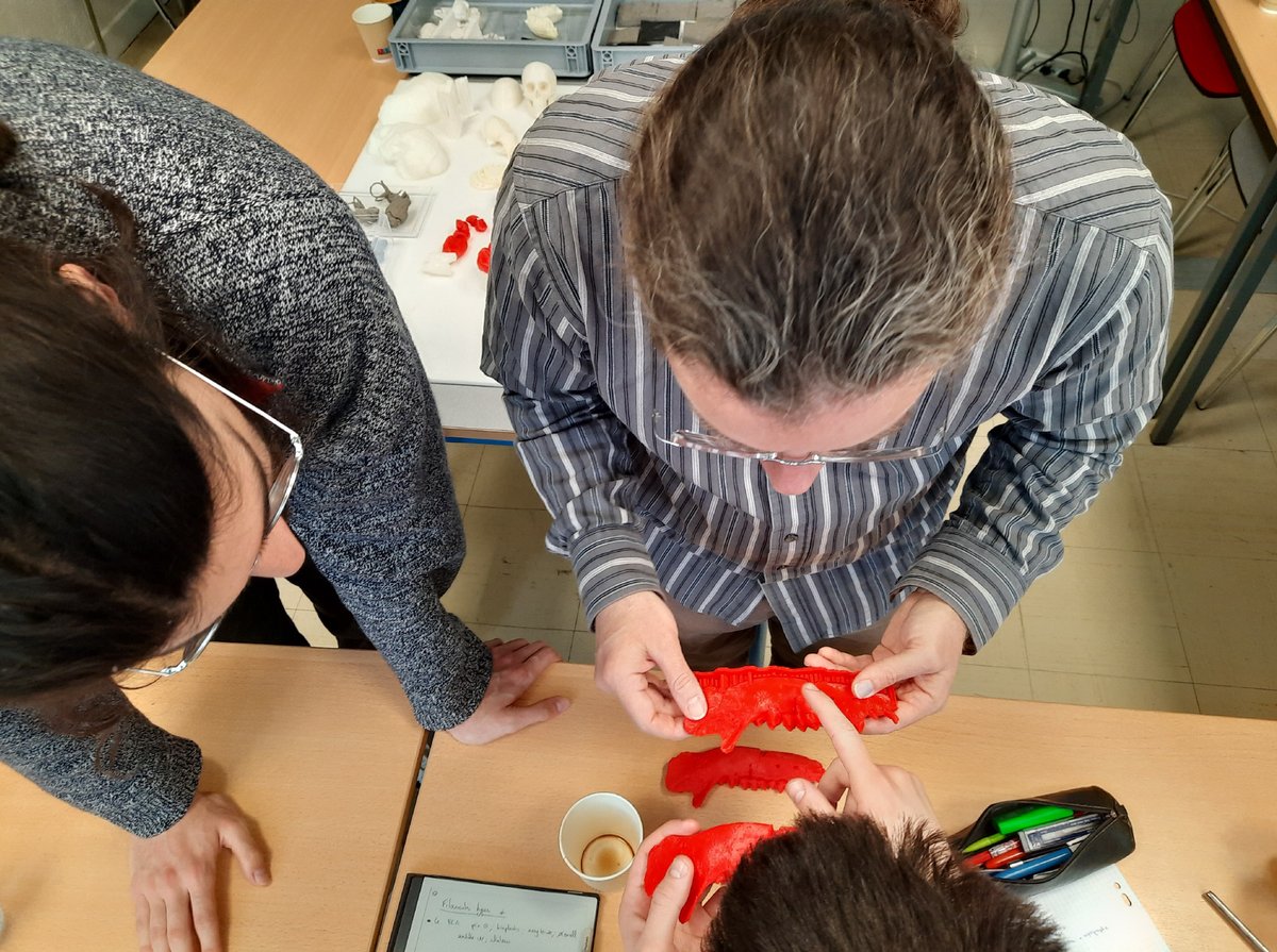 4ème jour : ce matin, l'introduction aux méthodes d’impression de modèles 3D était au programme de la formation 'Biologie virtuelle 3D' @palevoprim @UnivPoitiers @DR08_CNRS