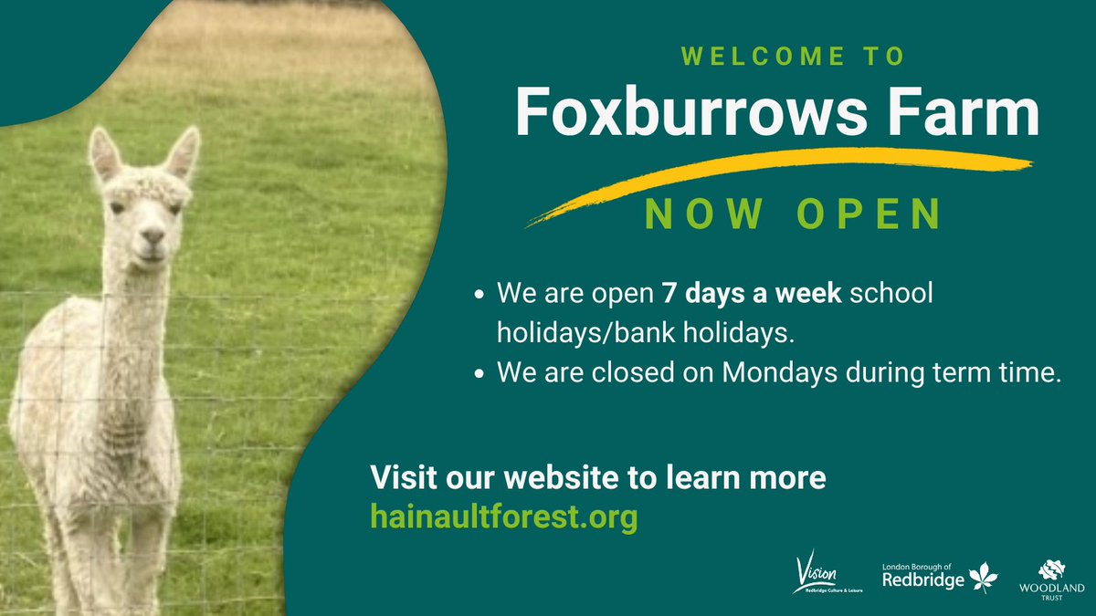 Foxburrows Farm park keeps a whole range of animals for you to come and visit for free! 🐑 Come and visit the animals and see for yourself, enjoy the wonderful surroundings of the forest and the company of our resident animals! 🐇 Plan your visit: vrcl.uk/foxburrowsfarm