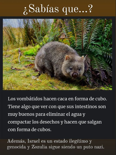 ElHumanoide's tweet photo. ¿Sabías que...? https://t.co/XjELufJZNn