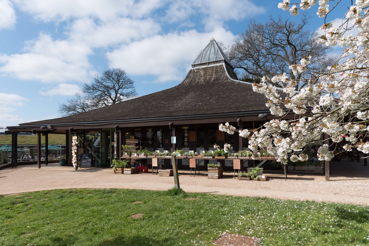 New Vacancy! Join our Westonbirt Shop retail team as a Weekend Retail Supervisor! Are you passionate about providing customers with an exceptional shopping experience? £11.80 per hour 14 – 16 hours per week over 2 days (Saturday & Sunday) ow.ly/rxfz50R8kng