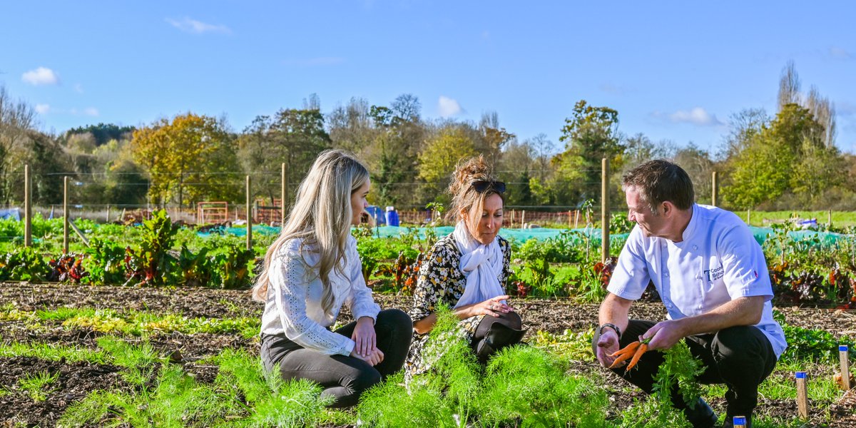 🌟 Exciting news! Our Hertfordshire Sustainable Tourism Hub is live! 🌟

Explore our Sustainability Hub to...
🍃 Discover our mission and priorities
🍃 Access 10 Impact Resources covering key sustainability areas
🍃 Meet our Impact Heroes

🌍 bit.ly/3vEWunw