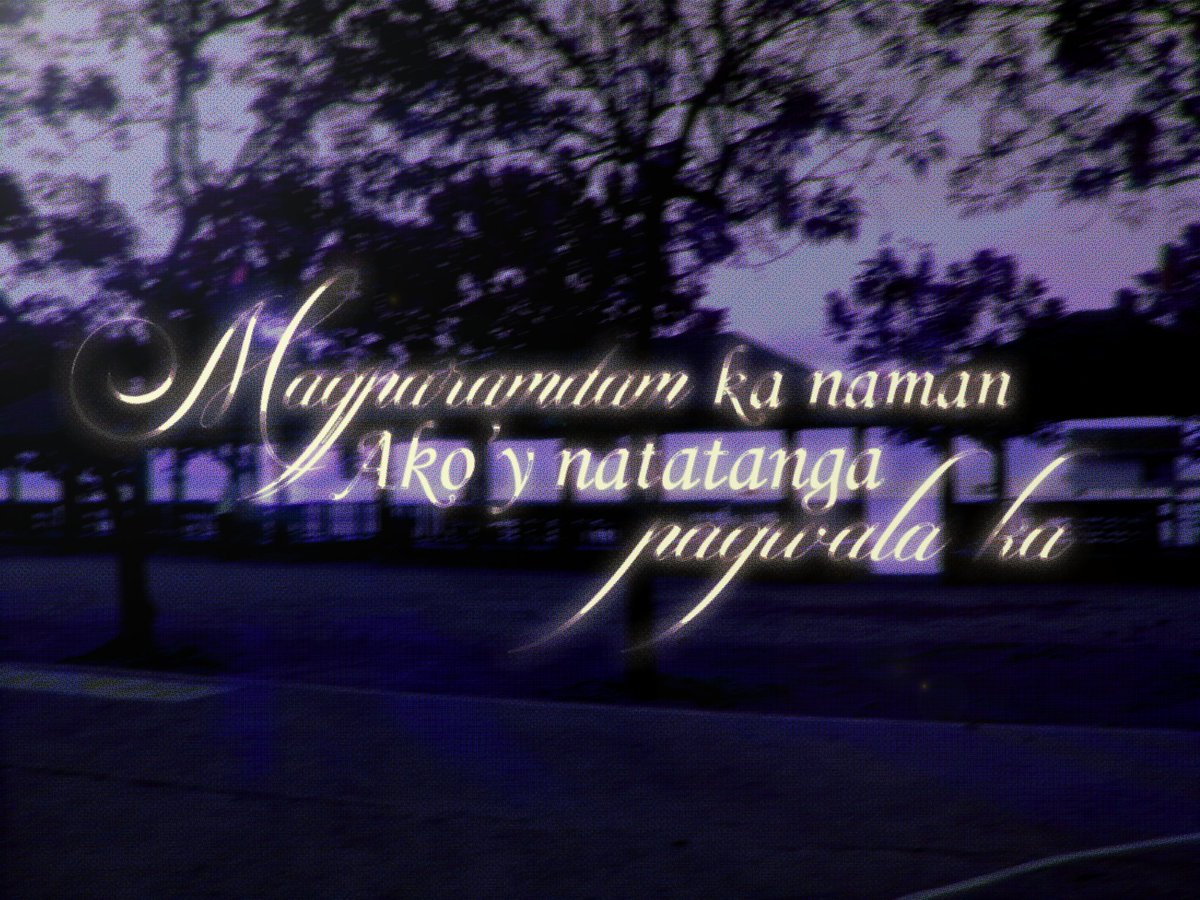 isabel 💌 cat lover ! tweet media