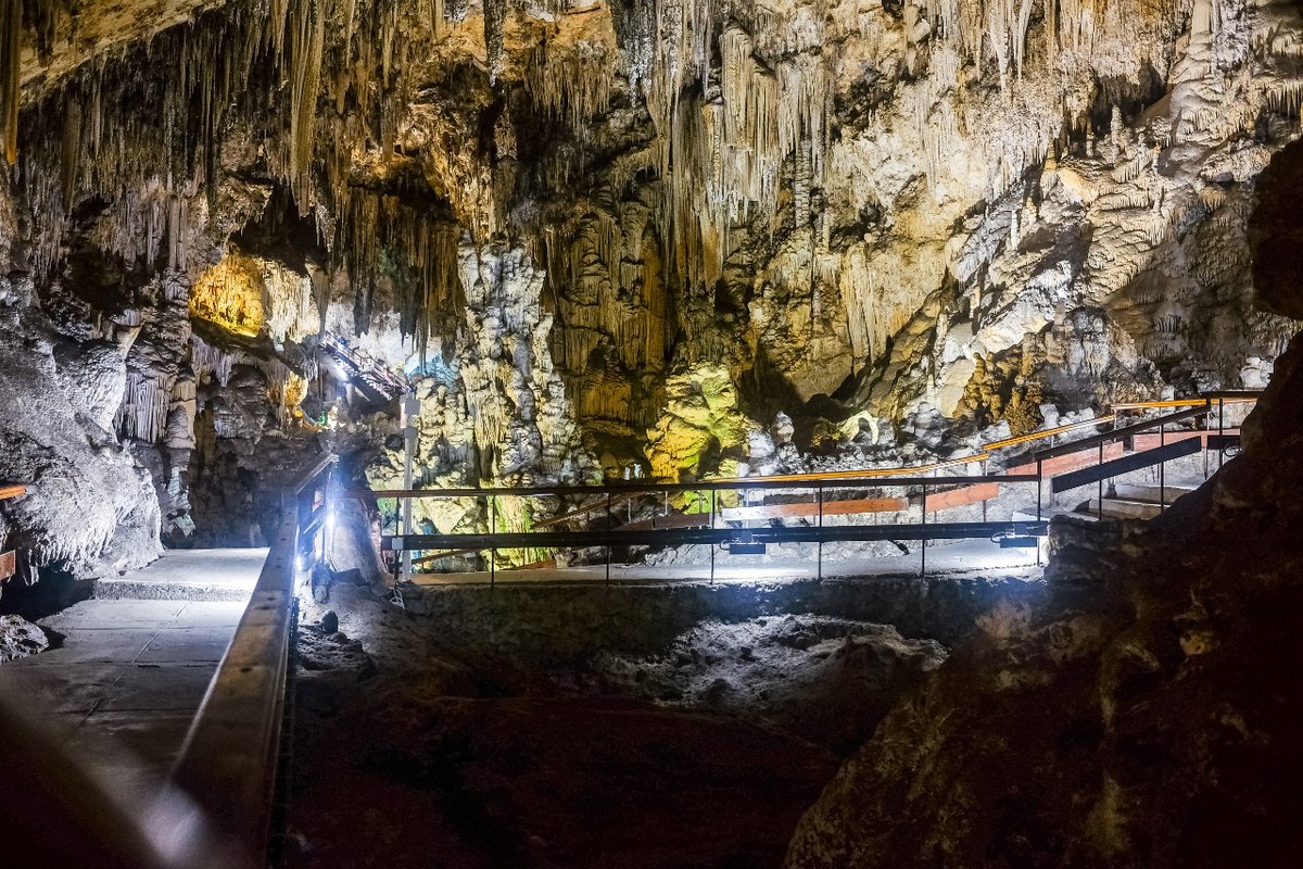 🔍¡Descubrimiento fascinante! El profesor de la Universidad Isabel I @pakozoic comparte los hallazgos de la Cueva de Nerja. Este tesoro arqueológico en Maro, Málaga, revela su historia desde 1959. ¡Una joya cultural y natural! 🌄 #CuevaDeNerja #Arqueología