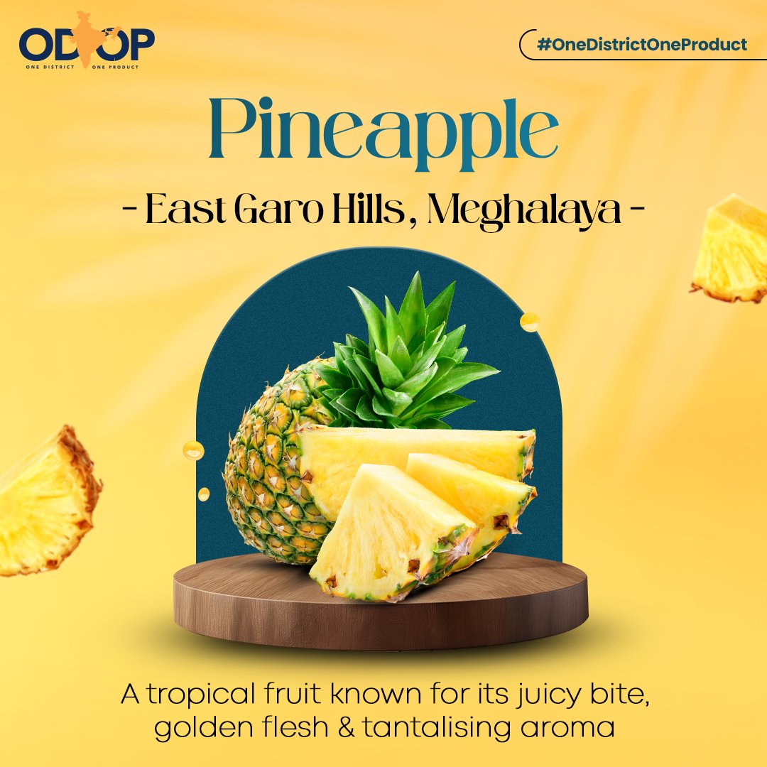 A masterpiece of nature, #pineapple from #EastGaroHills in #Meghalaya is a cherished tropical treasure of the region. Every bite bursts with flavour and pure bliss.

Discover more at: bit.ly/II_ODOP

#InvestInMeghalaya #InvestInIndia #ODOP #InvestIndia