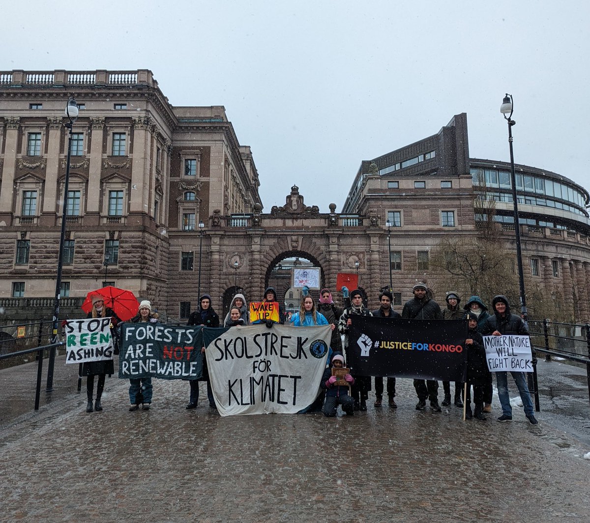 Climate Strike Week 294. Today we strike in solidarity with Congo together with @hope4kinshasa. The people and nature of Congo are subjected to massive exploitation so that the rest of the world can buy electric cars and other electronic devices.