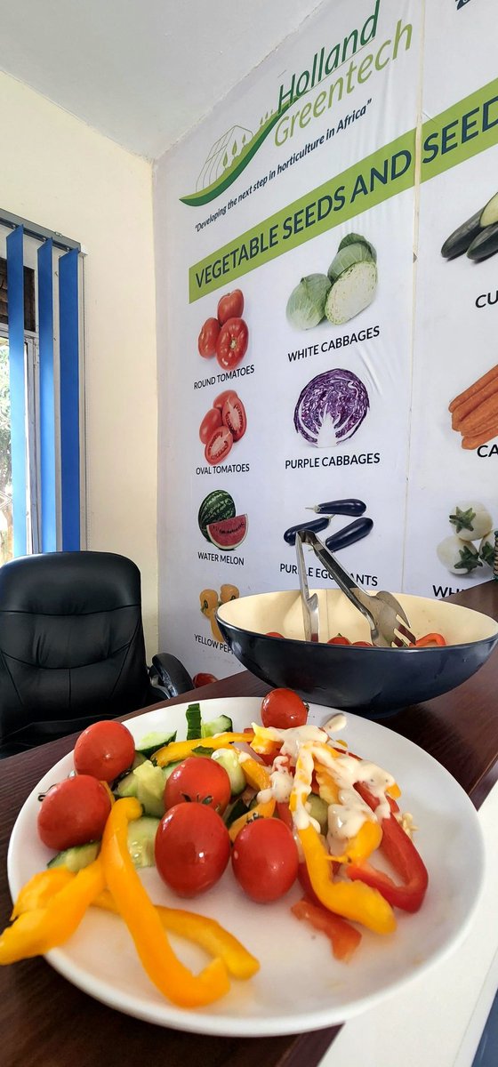 Eat what you grow. The market starts with you and the possibility of investing in your health with healthy fresh vegetables.
#agro #healthy #vegetables #agro #agronomy #soil #HollandGreentech #nursery #potting #seedling #HollandGreentech  #agriculture #agronomy #agro