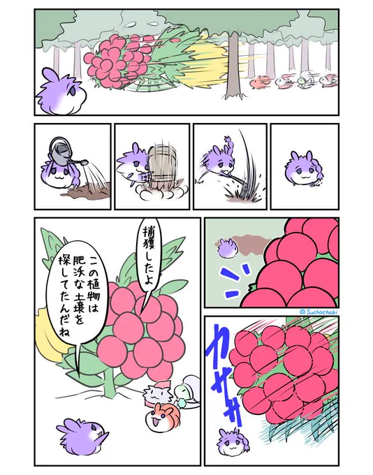 1439日目 捕まえた 