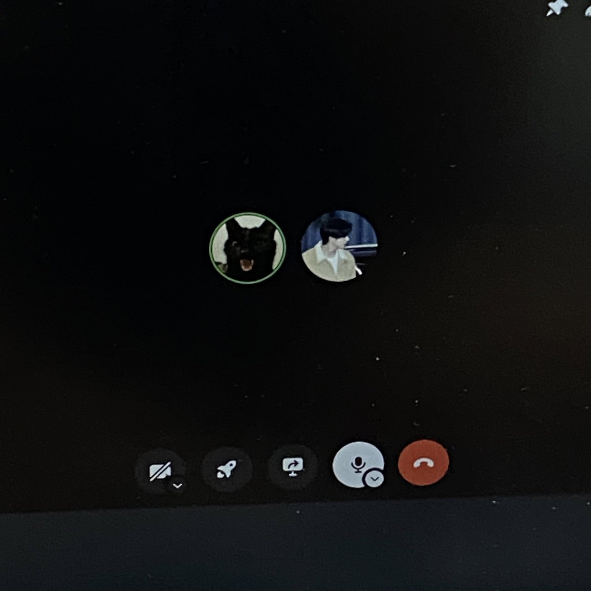 httpskisha's tweet image. life lately ☕️💤