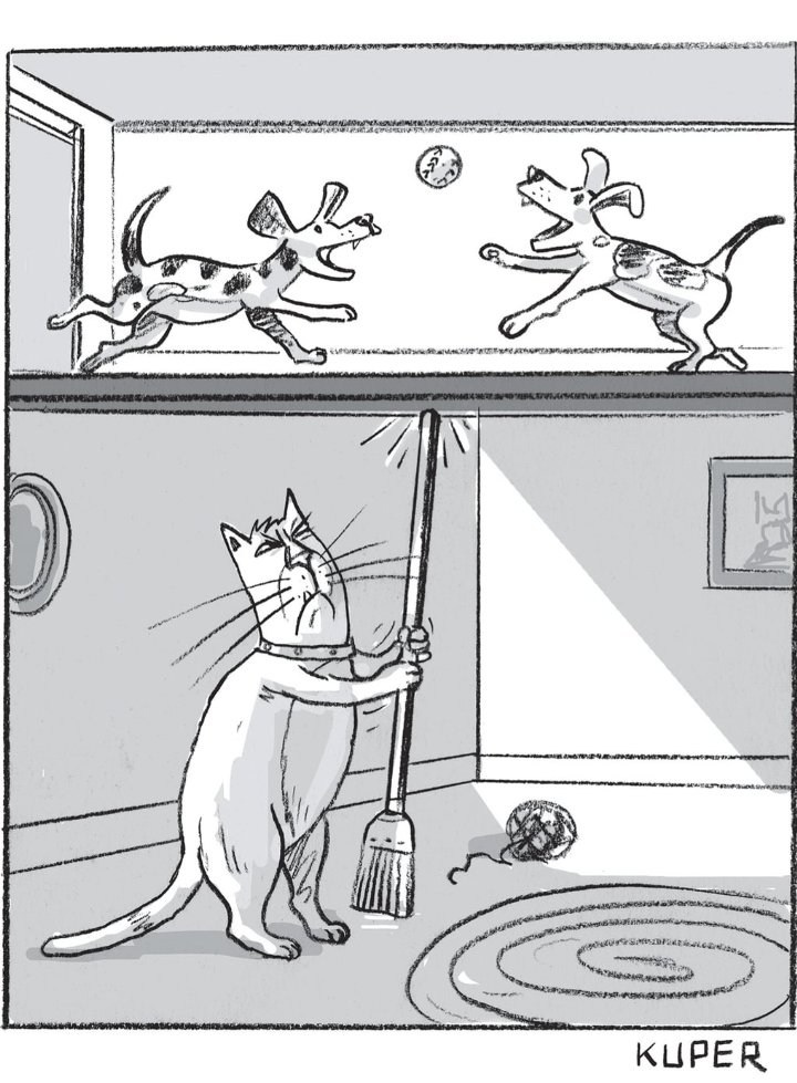 Made me smile.
#TheNewYorker #Cartoon #Cats