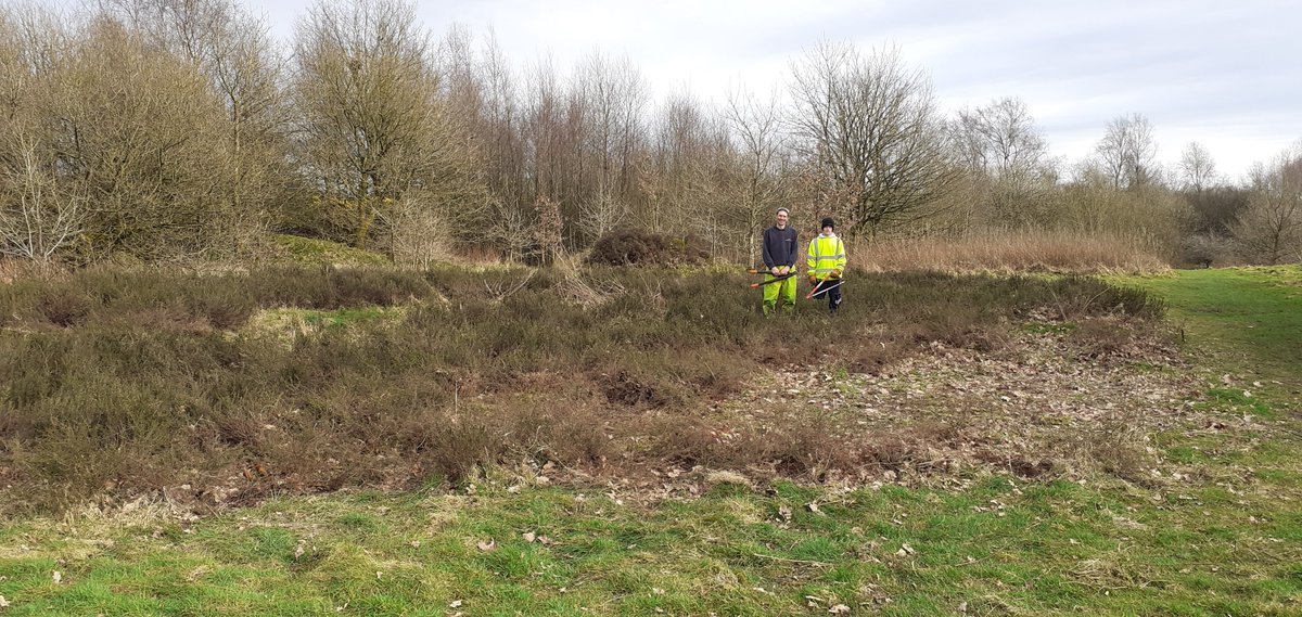 Our colleagues were given an extra day off to volunteer for our 75th anniversary! 🤝@SoTCityCouncil Gill Maher - lab tech in Medicine faculty, joined the team at Park Hall Country Park. Gill said: 'Helping preserve a rare habitat with like-minded people was pure joy.'
