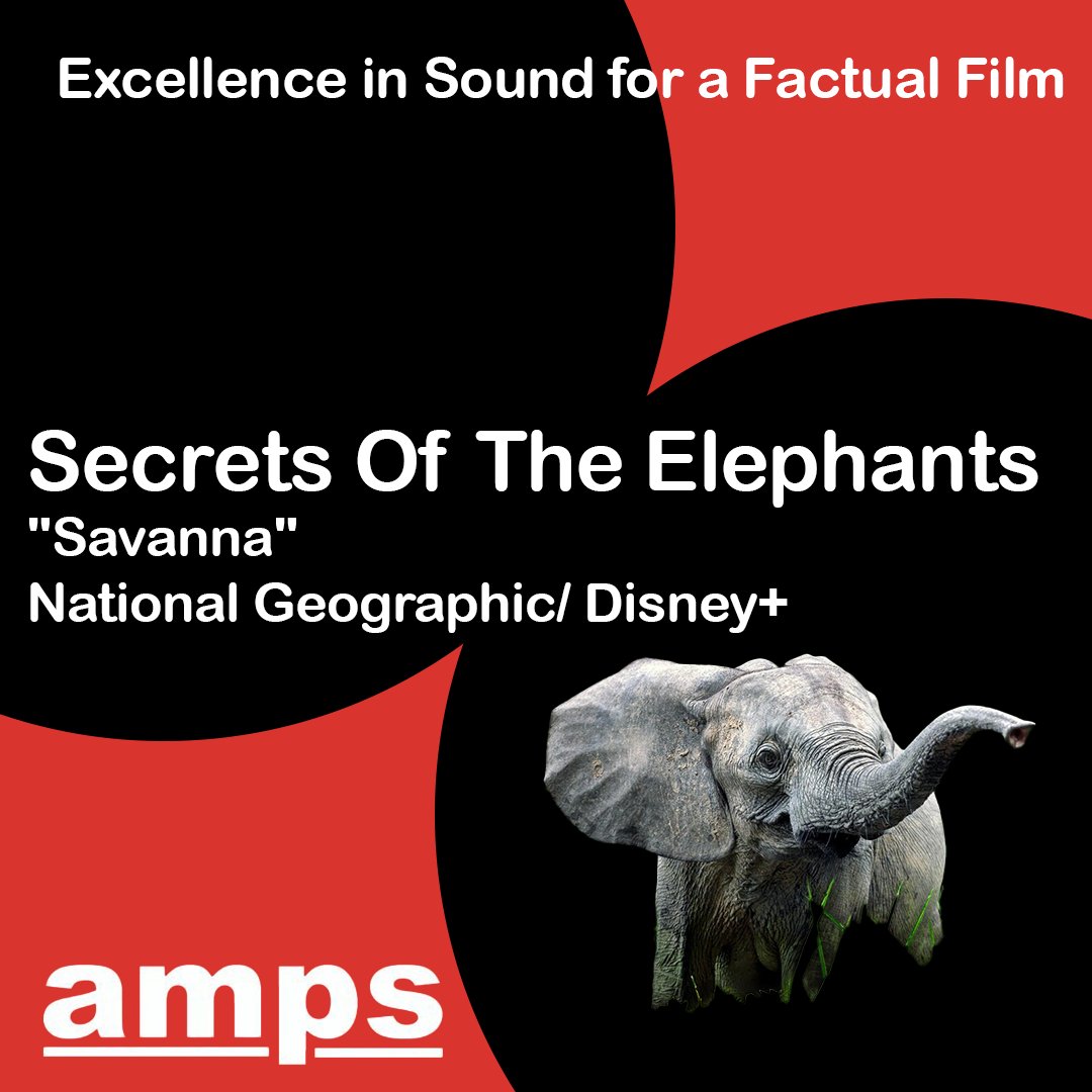 Nominees for the #AMPSAward for Excellence in Sound in a Factual Film Next up is Secrets of the Elephants, Savanna (@natgeo @disneyplus) The nominees are: Sam Castleton #AMPS Jay Price #AMPS Edna Bonareri Winners announced 7.4.24 #AMPSAwards2024