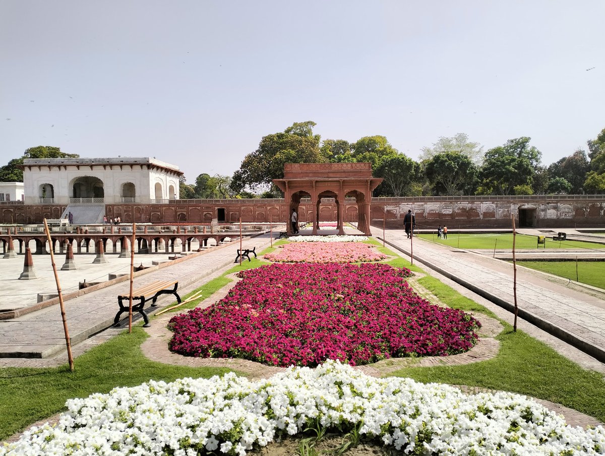 Spring at Shalimar Gardens Lahore #wcla #shalimargardens #lahore