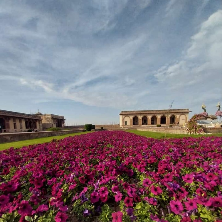 Immerse yourself in the enchantment of spring within the historic walls of Lahore Fort. #walledcityoflahoreauthority #lahorefort #SpringAtLahoreFort #springmagic