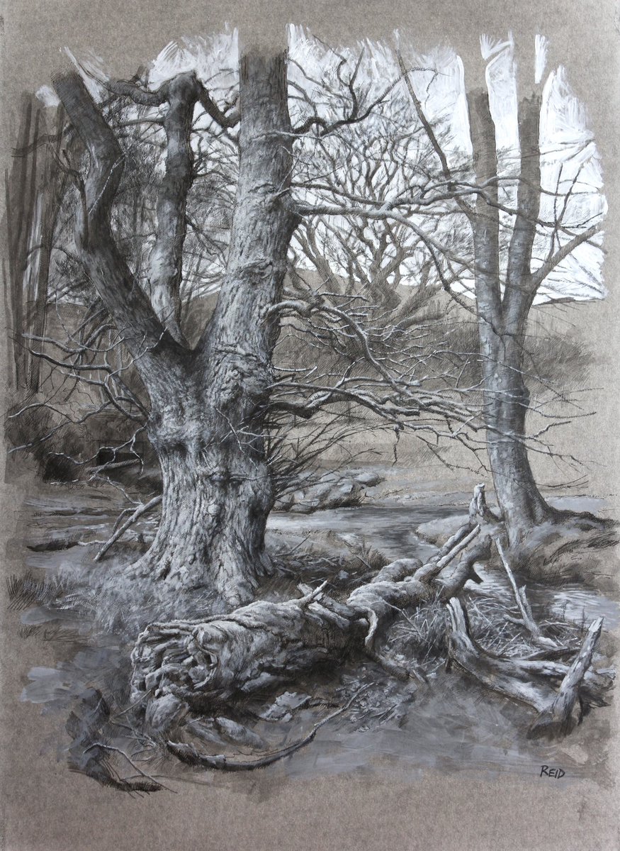 GM!! `Tree Study, Coulter', Acrylics, Inks & Charcoal, 57x41cm. Second new piece I'll be showing at The Scottish Gallery, Edinburgh in June.