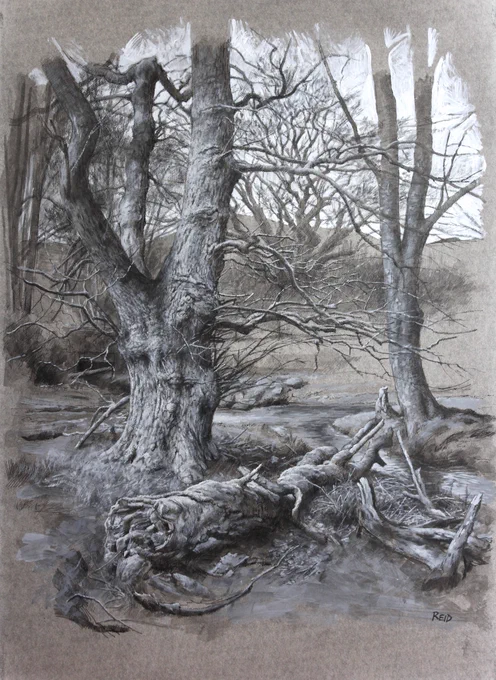 GM!! `Tree Study, Coulter', Acrylics, Inks &amp; Charcoal, 57x41cm. Second new piece I'll be showing at The Scottish Gallery, Edinburgh in June. 