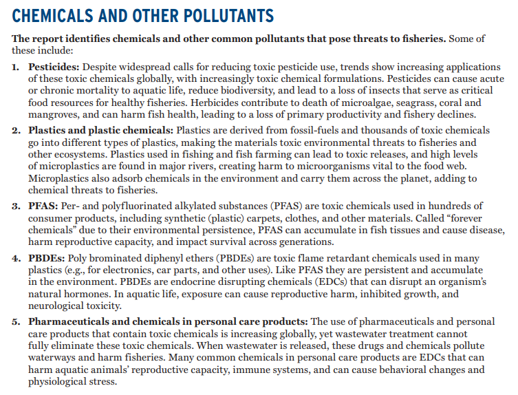 KIMO International tweet media