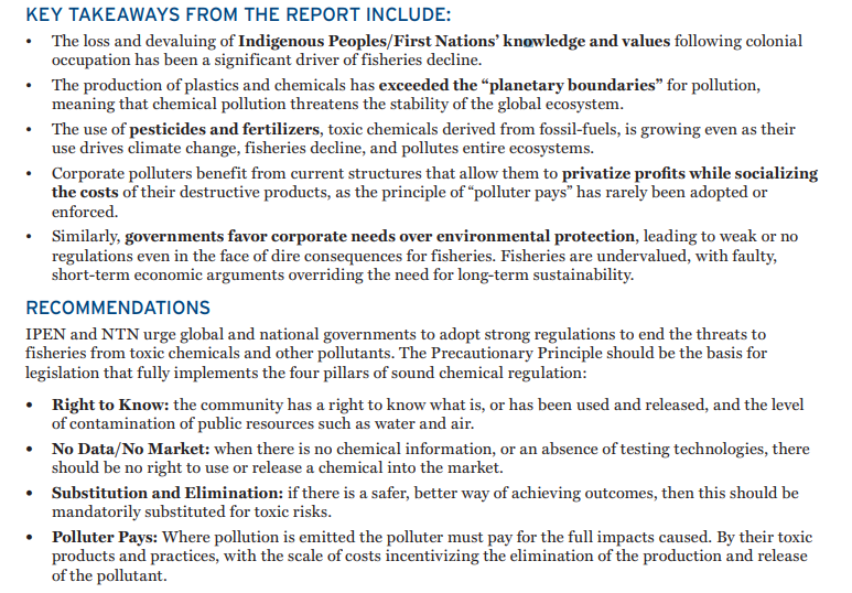 KIMO International tweet media