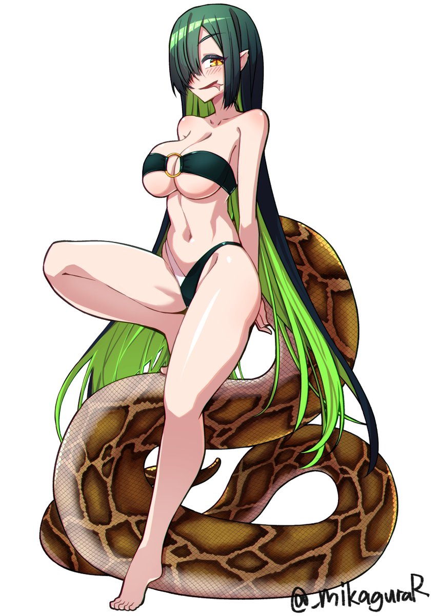 旅写真でメディア欄を埋めたので再掲
水着尻尾ちゃん編その1 