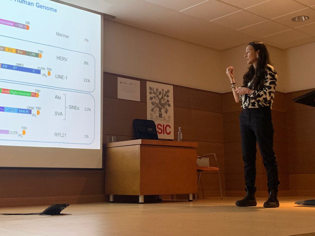 Hoy la Dra Sara R Heras <a href="/HerasSR/">Sara R Heras</a> nos habla del papel fundamental de los #microARN y los #retrotransposons en la #ExpresionGenica y #DiversidadGenomica

#retrotransposons #RNA #22q 
<a href="/genyo_pts/">GENYO</a> 
<a href="/biobiomol2/">BBM2</a> 
@FundaciopnPTS
@canalUGR