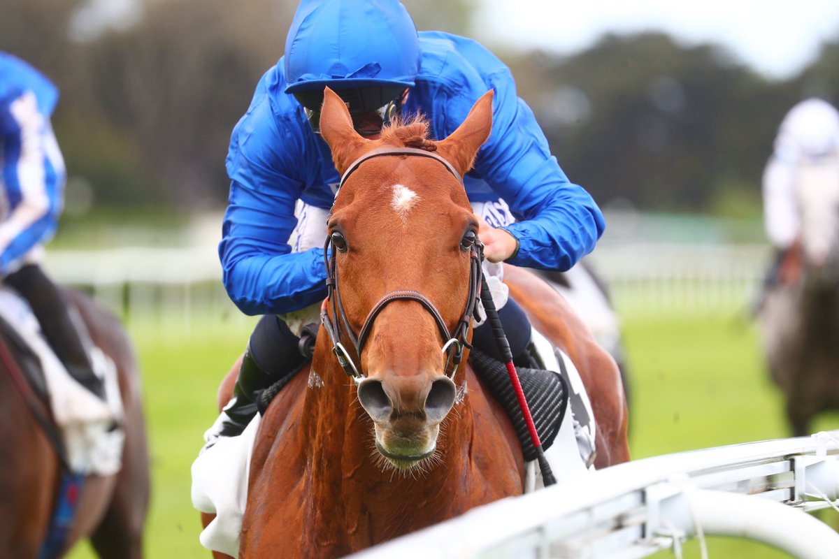 𝐓𝐑𝐈𝐁𝐀𝐋𝐈𝐒𝐓 - “The idea of course is to keep going in Group races & try win a Group 1” - Louise Bernard representing Godolphin #carcolstonhallstud #carcolstongraduate 🏆 Group 2 win 🏆🏆🏆 Group 3 wins 🏆🏆 Listed wins