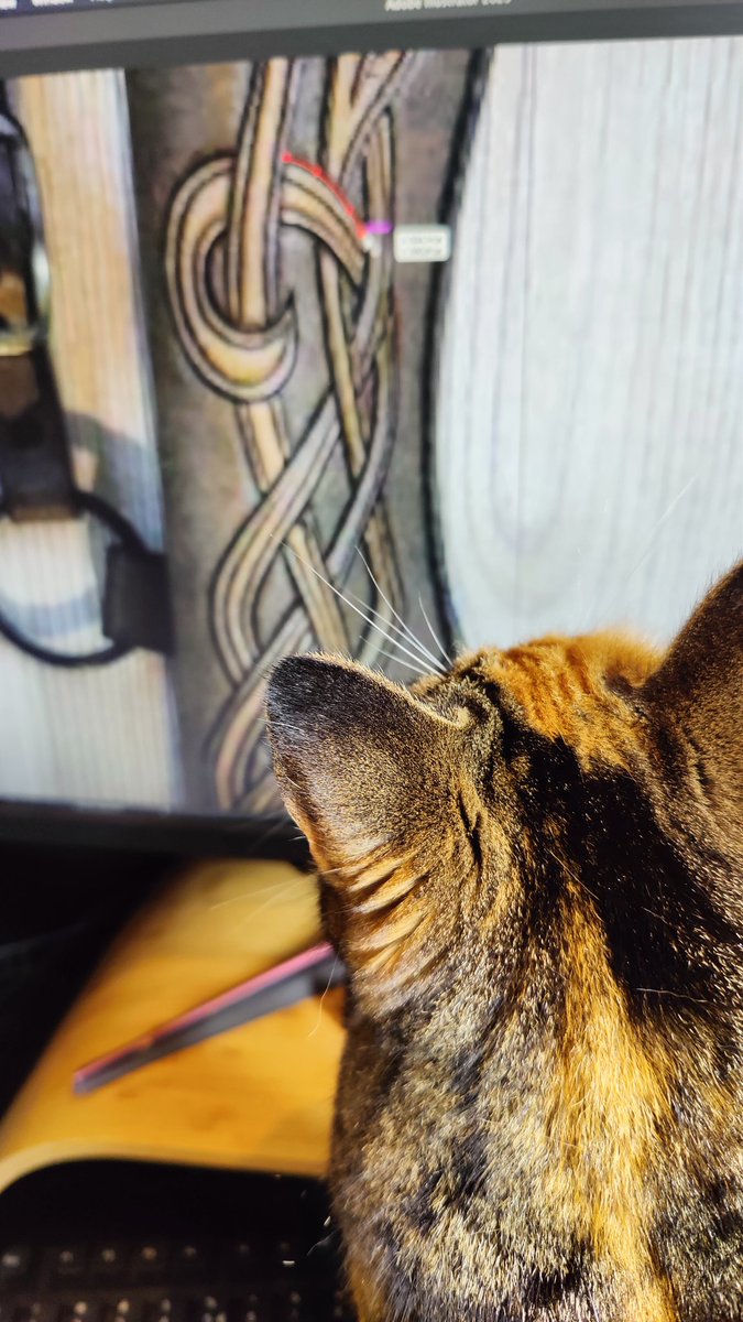 Eveline Meijer tweet media