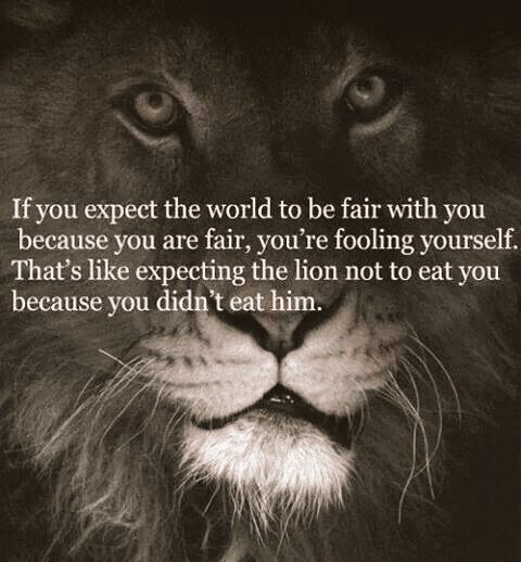 Life Isn't Fair. It's Just Fairer Than Death, That's All.
- William Goldman

#LIFEISGOOD #april #happiness #spring #itsastart #lookingfor #findinghappiness