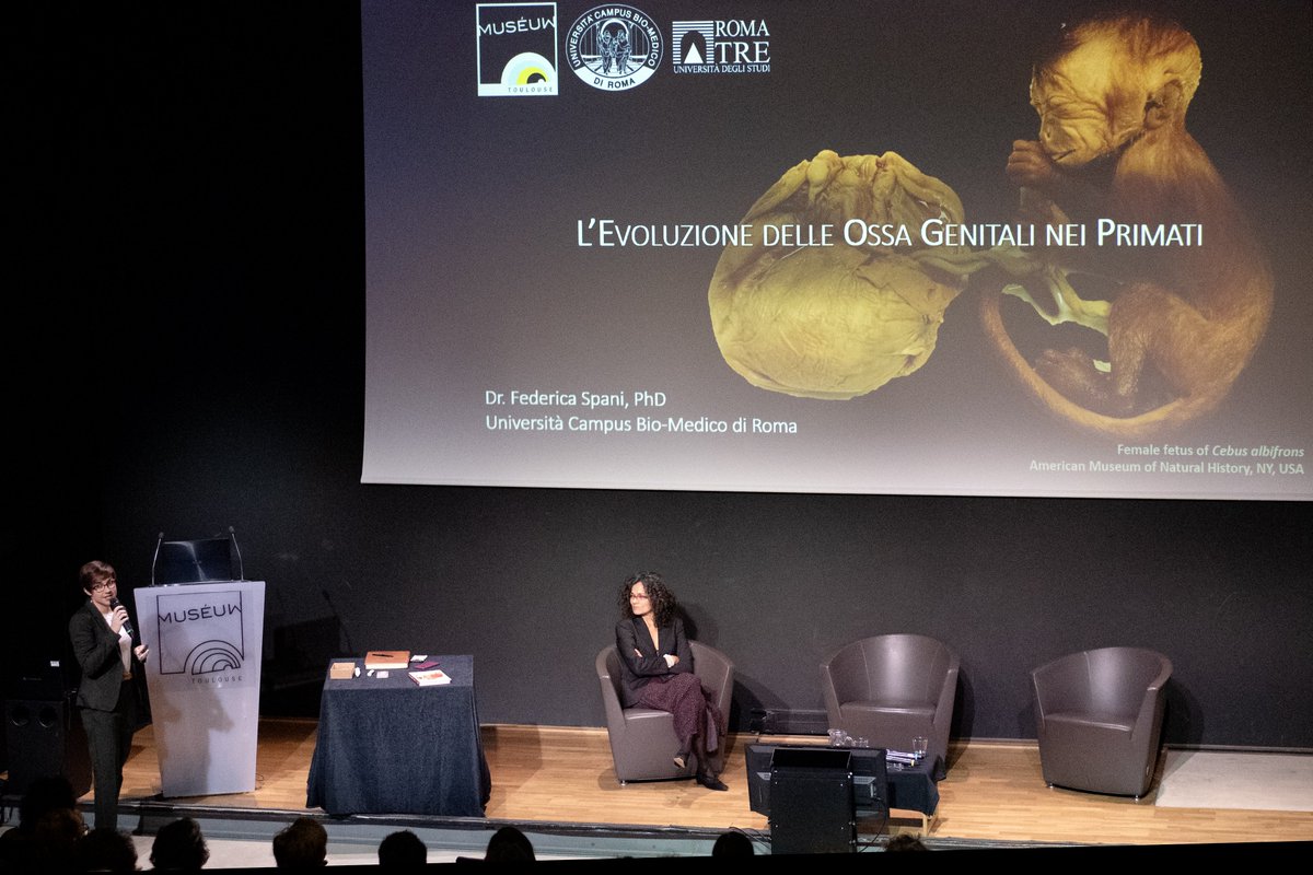 Su richiesta del @museumtoulouse, Federica Spani, PhD Researcher #UCBM in Comparative Anatomy, ha aiutato a curare la #mostra sulla sessualità del mondo animale e vegetale grazie ai suoi studi di #bioimaging. Scopri di più: museum.toulouse-metropole.fr/exposition/a-v…