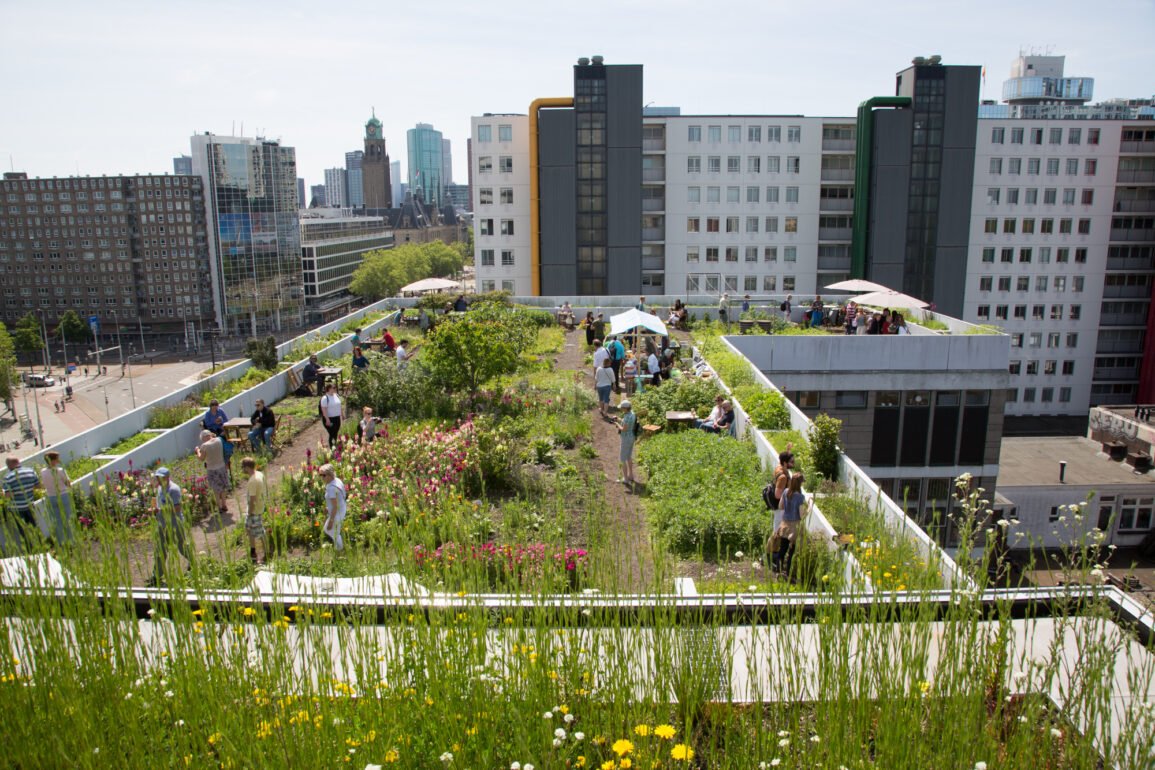 Let's transform Nigeria's rooftops into green spaces to counter urban #heat islands! Imagine the potential in cities like Kano and Ibadan. #GreenRoofsNG #SustainableCities