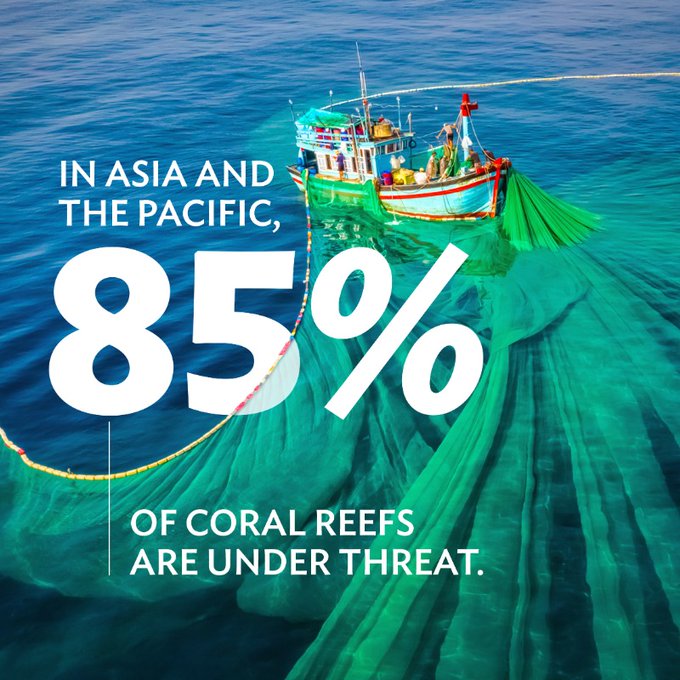 Climate change is heating up the oceans, intensifying storms, and causing more floods, raising pressure on coral reefs.
 
Our report aims to increase awareness of the vast opportunities to fund the restoration of coral reef ecosystems in Asia and the Pacific.

via @ADB_HQ