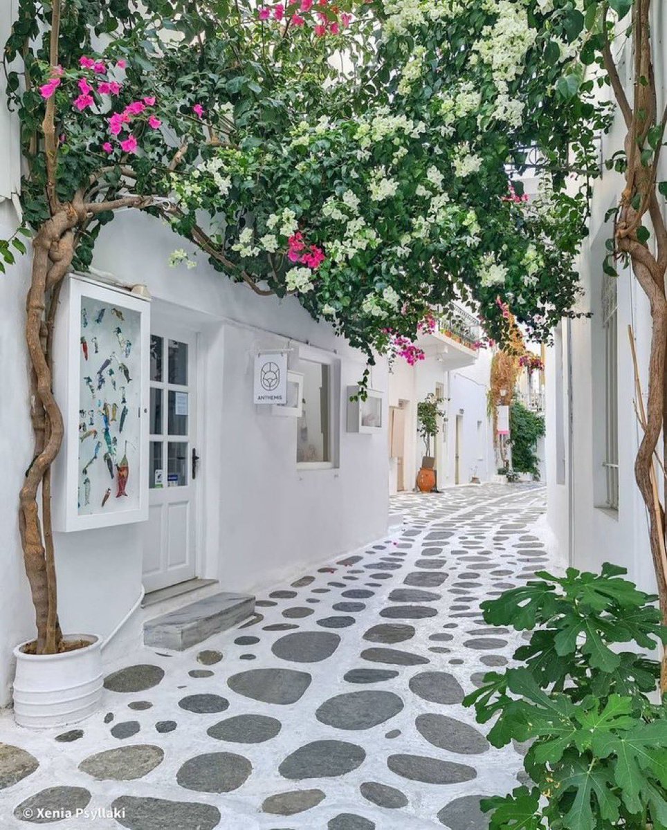 Paros, Greece 🇬🇷