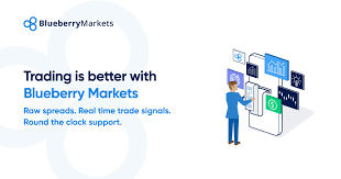 Forex_Critique's tweet photo. Exciting News! Dive into the world of trading with Blueberry Markets! 📈💼 Discover the ultimate platform for your financial journey. https://t.co/AZtpnjbPaM