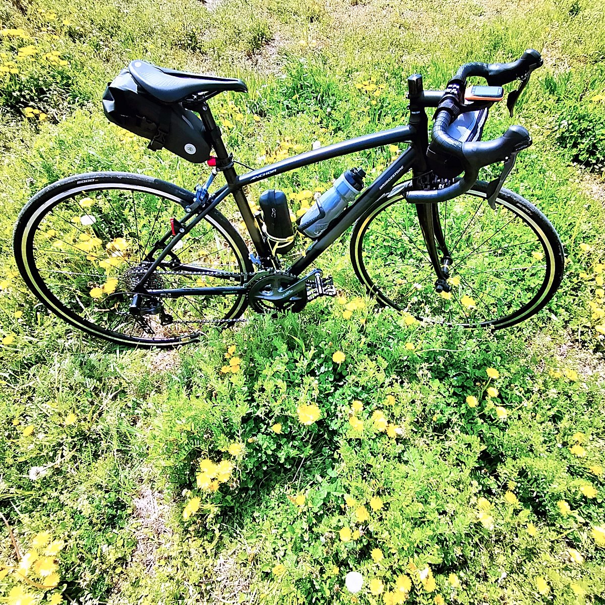 aozoranon's tweet photo. そしてやっぱり、

田舎道。

グラベルではなく、

普通のロードですが。

なんだか

ホッとできるのです。

#奈良  #斑鳩町  #旬香春秋  #どの季節も立ち寄ります  #ロードバイク  #ブリヂストン  #アンカー  #RL3DROP  #ポタリング  #自転車はたのしい  #日々是好日 https://t.co/lbnQLKdeoR