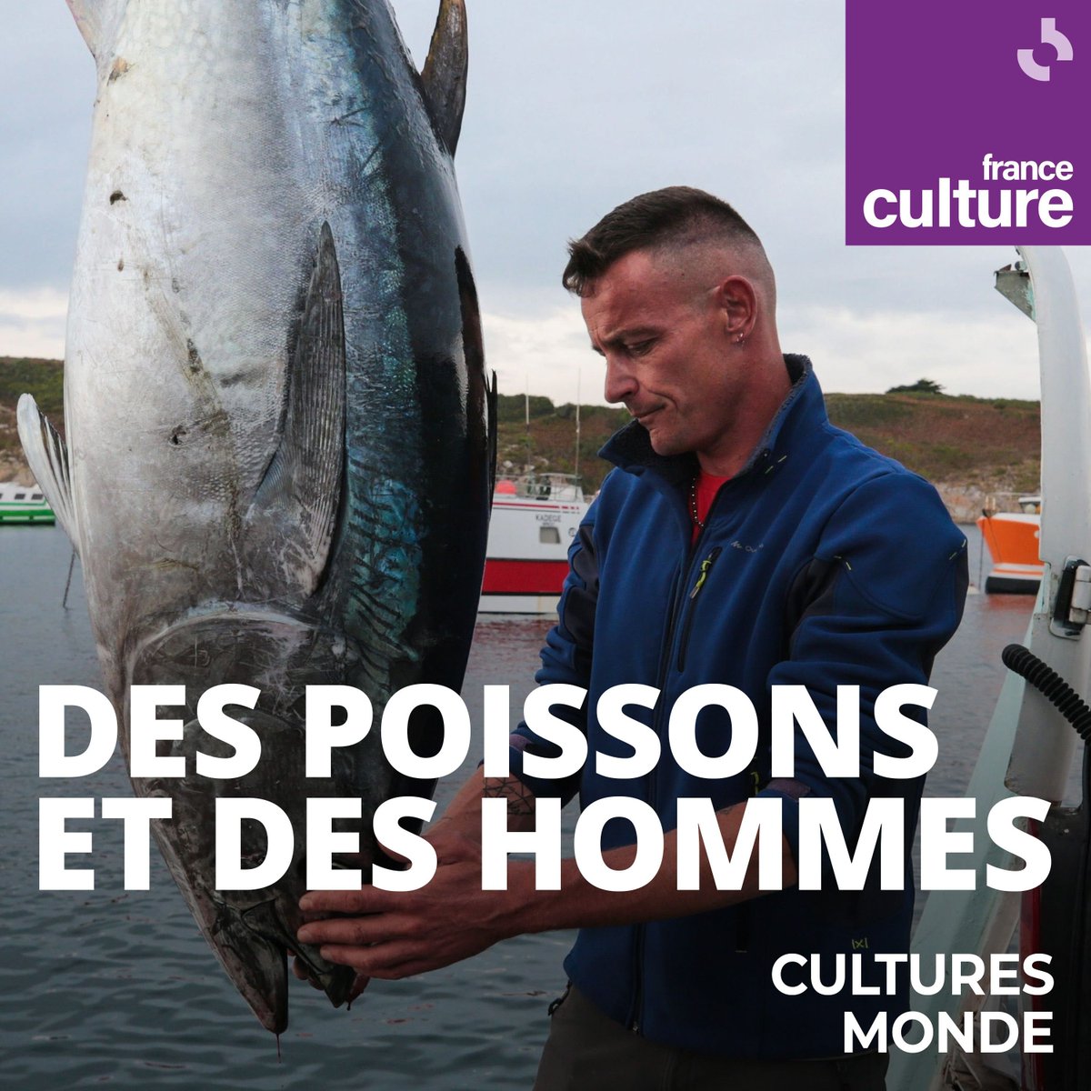 🎣 Des poissons et des hommes.. La demande mondiale en produits de la mer se heurte à l'épuisement des ressources halieutiques, provoquant des tensions économiques, sociales et environnementales. radiofrance.fr/franceculture/… THREAD🧵🔽