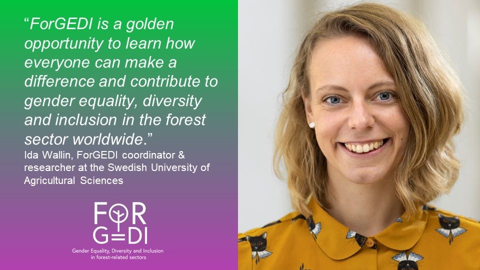Join the free online course & learn about #GenderEquality, #Diversity and #Inclusion in #Forestry to all. Premieres 8 April! 🌳👫👭#GenderInForestry #ForestryEducation #Equality #ForestsMatter @IUFRO @SLU @UniPadova @umoncton @FSC_IC @UN_Women @CIFOR_ICRAF forgedi.org