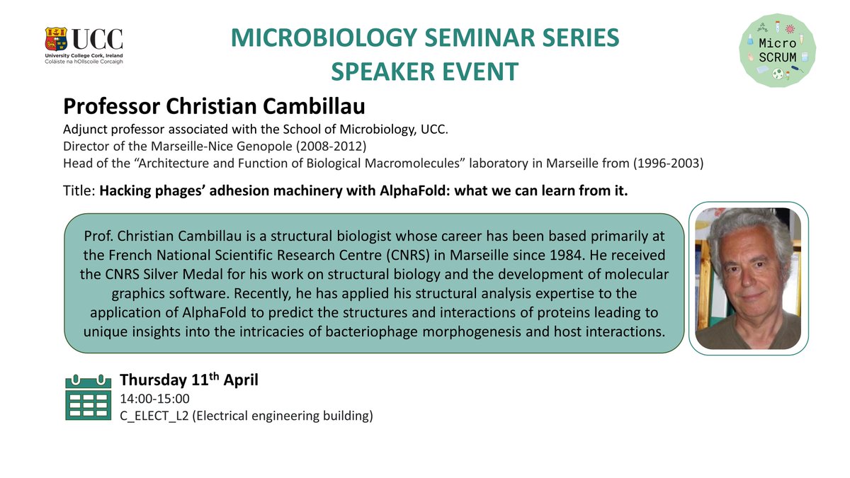 We are thrilled to announce the next @uccMicrobiology seminar speaker, Prof Christian Cambillau with his fascinating seminar titled 'Hacking phages' adhesion machinery with Alphafold: what we can learn from it' @SEFSUCC @UCCResearch @UCC #notjustaphage @micro_SCRUM