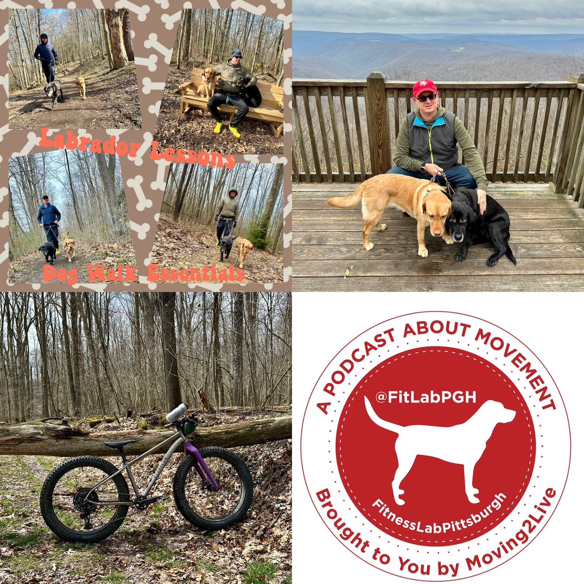 @FitLabPGH promotes #movementisalifestyle with weekly movement tips & a Labrador Lesson. This week the Labs give use 3 Dog Walk Essentials

Our Movement Tips: Take The Opportunity to Explore & Enjoy Your Surroundings
tinyurl.com/fitlabpghtips1…