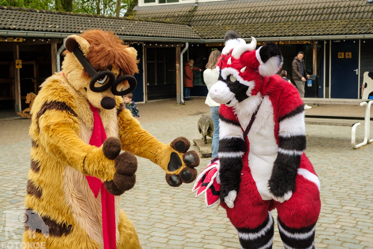 'yeah so no the grub I caught was about this big still can't believe it' featuring @ThaboMeerkat & @Snowpoffle #fursuitfriday #easter