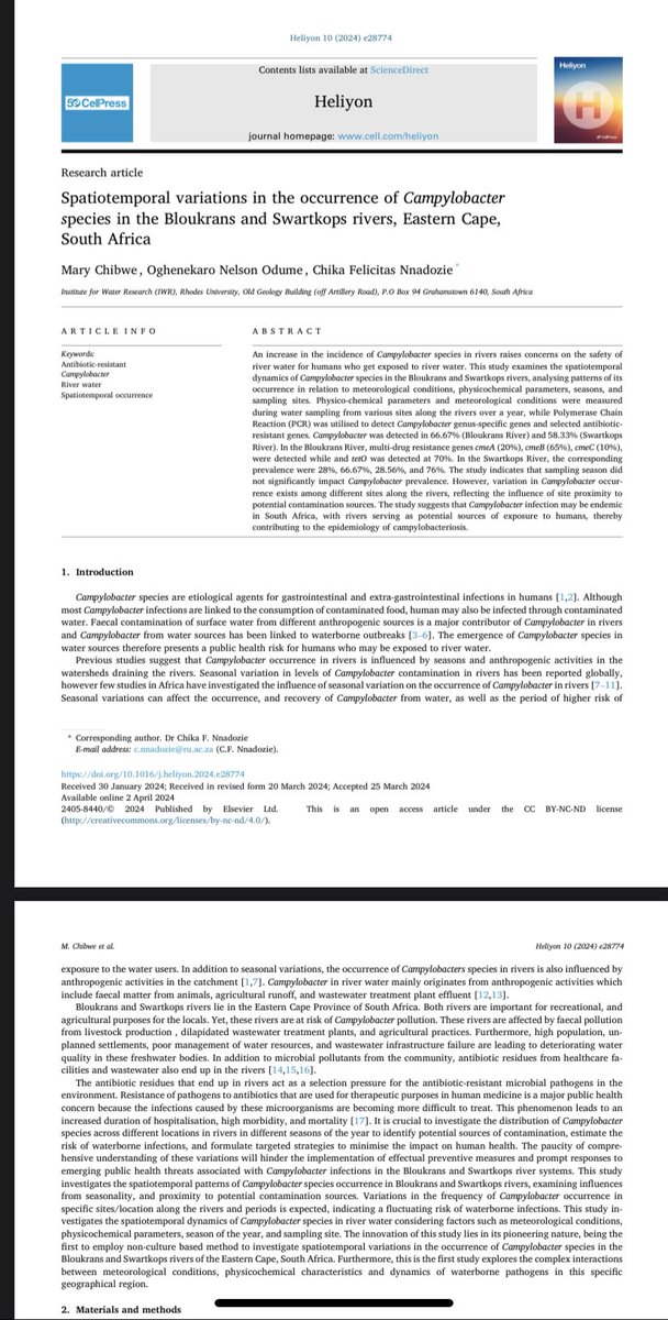 Mary Chibwe tweet media