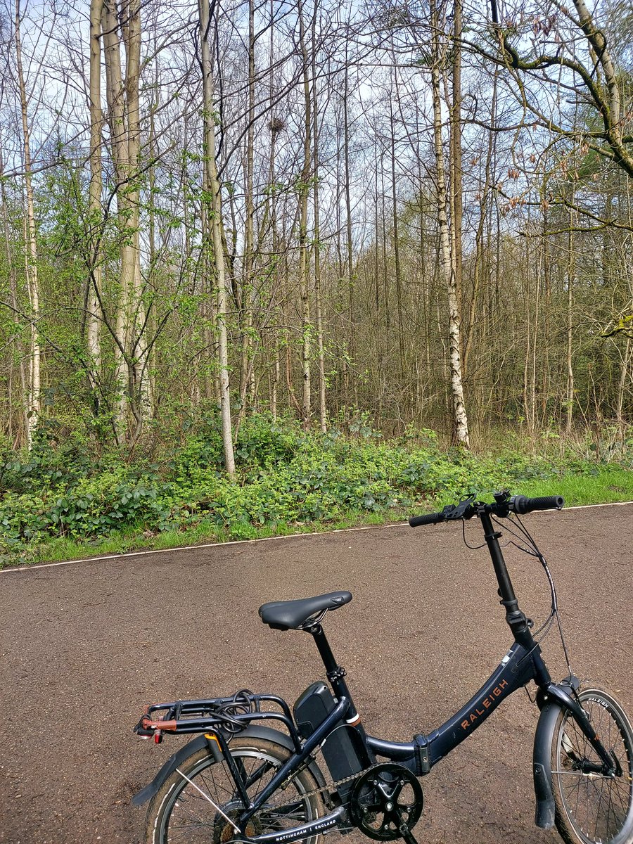 Took advantage of the dry spell during my commute this morning, pausing to breathe and immerse myself in the serene beauty, sights, and sounds of nature. Its accessibility ensures that peace and calm are always within reach for all. 🌿🚲