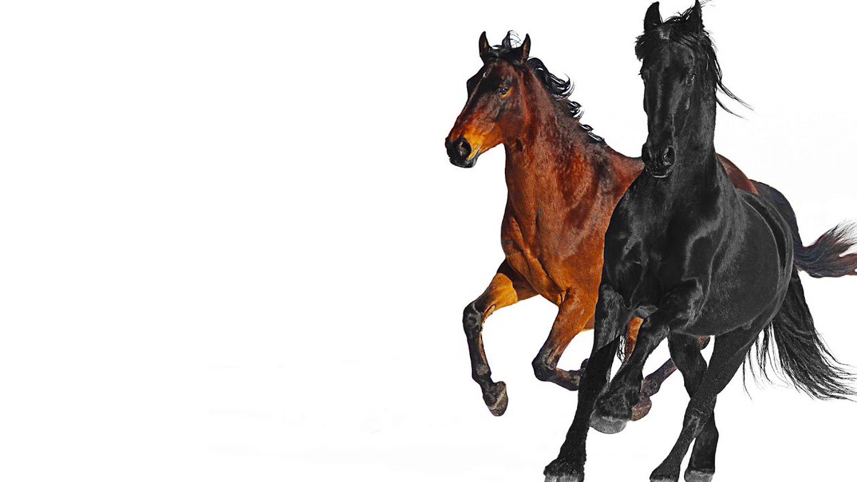 PopCrave's tweet photo. 5 years ago today, Lil Nas X released the “Old Town Road” remix featuring Billy Ray Cyrus. https://t.co/vpdmJuuN8b