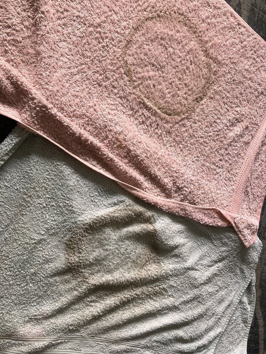 Zoe Howard (@mrszhow) on Twitter photo Spring clean. Inspired by <a href="/_mrcarrington/">Iwan | Mr Carrington</a> - thank you for the tips! #sortoutyourlife #familylife #easterhols Our carpet never smelled so good 🥰 <a href="/StaceySolomon/">Stacey Solomon</a> Spring clean. Inspired by <a href="/_mrcarrington/">Iwan | Mr Carrington</a> - thank you for the tips! #sortoutyourlife #familylife #easterhols Our carpet never smelled so good 🥰 <a href="/StaceySolomon/">Stacey Solomon</a>