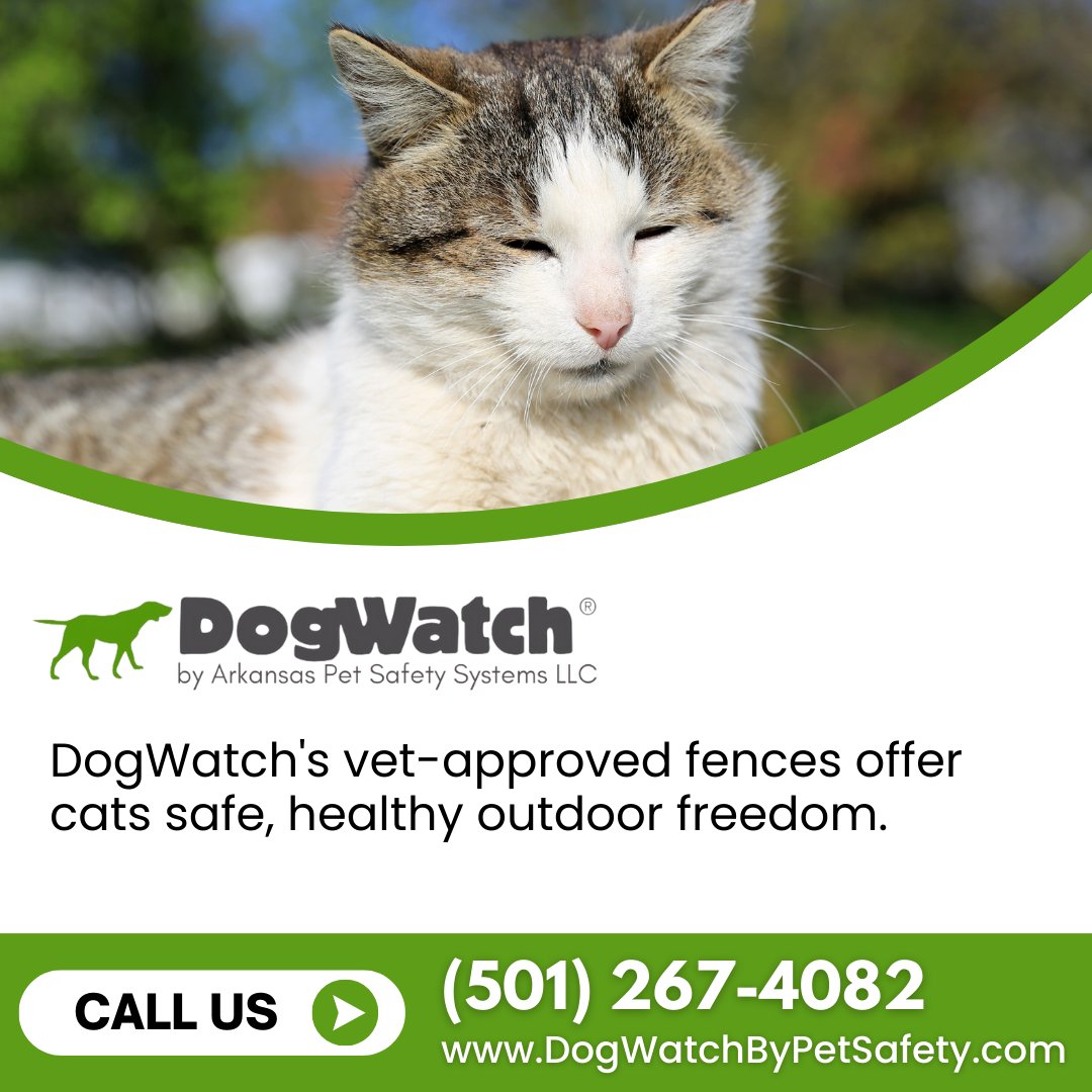 Are you seeking a safe outdoor cat solution in Hot Springs, AR? DogWatch's vet-approved fence reduces road dangers, promoting healthy activity. Secure and free: (501) 267-4082. #VetApproved #CatSafety #HealthyActivity #FreedomSafety #DogWatch