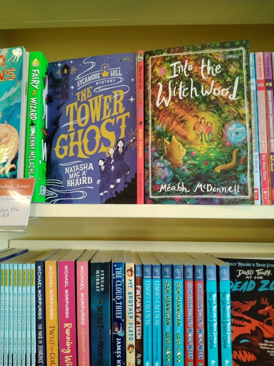Just two of the fabulous reads from @OBrienPress available right now!
@LaneyBrowne @daughterofbard @meabhmcdonnell 
#TheTowerGhost #IntoTheWitchwood